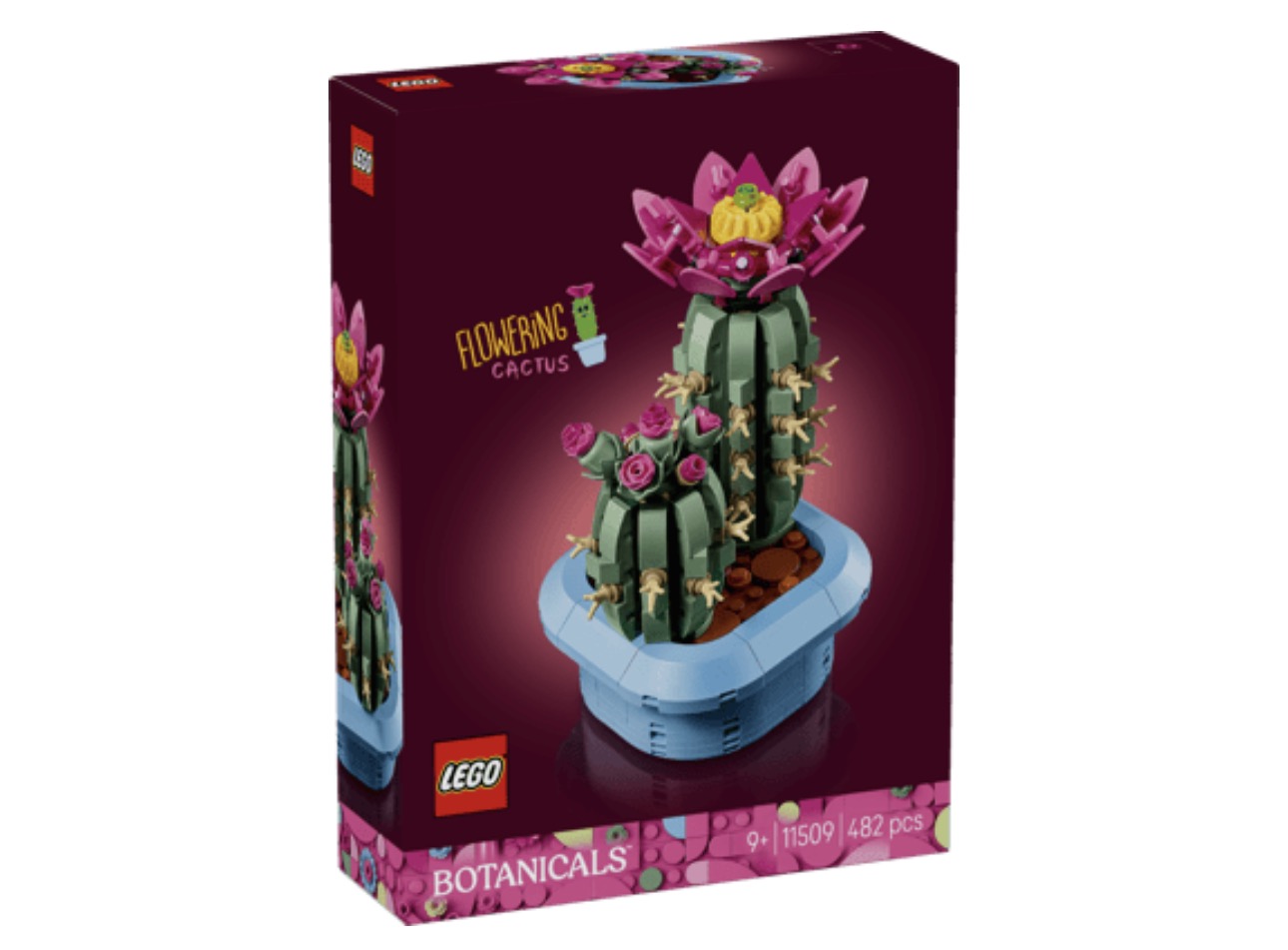 Botanicals Flowering Cactus