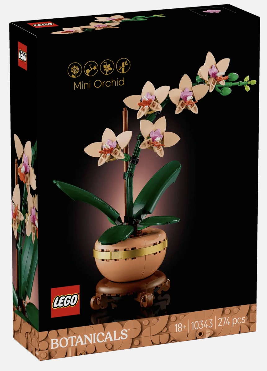 Botanicals Mini Orchid