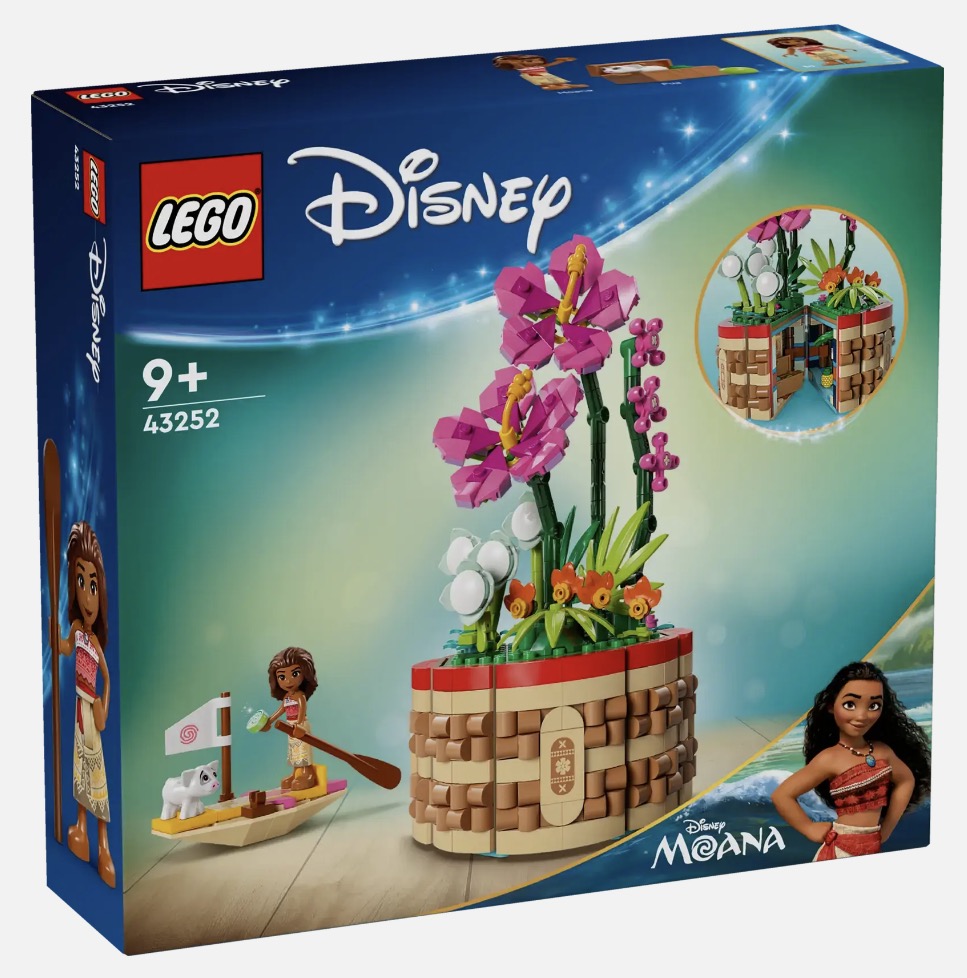 Disney Moana's Flowerpot