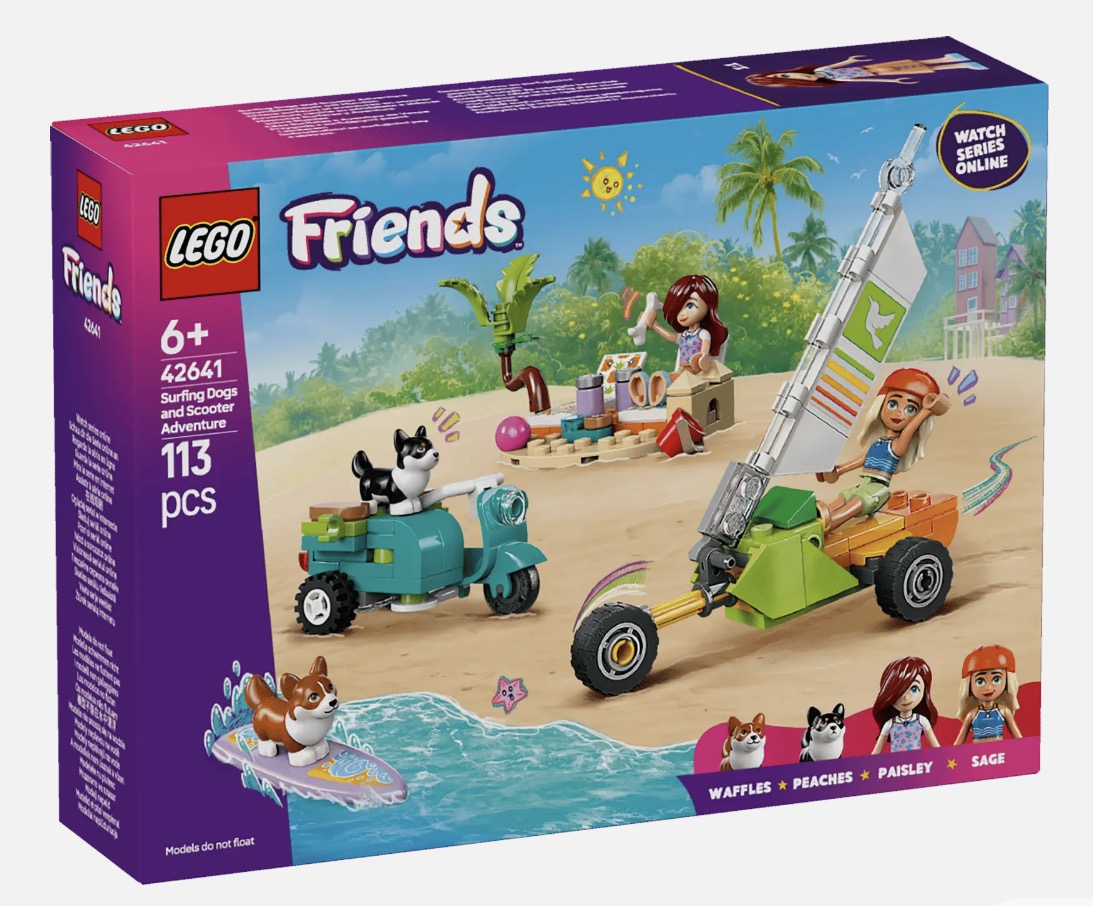 Friends Surfing Dogs and Scooter Adventure